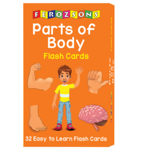 Parts Of Body Flash Cards